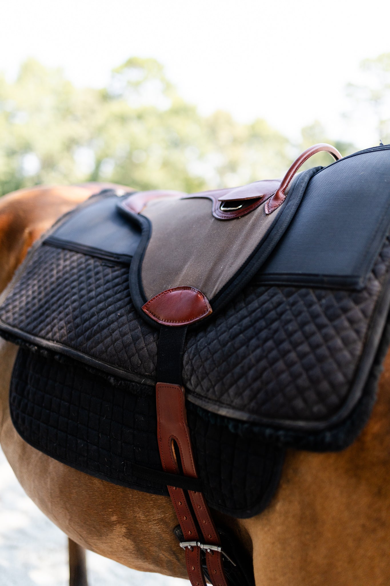 Single Hippotherapy Bareback Saddle - Large