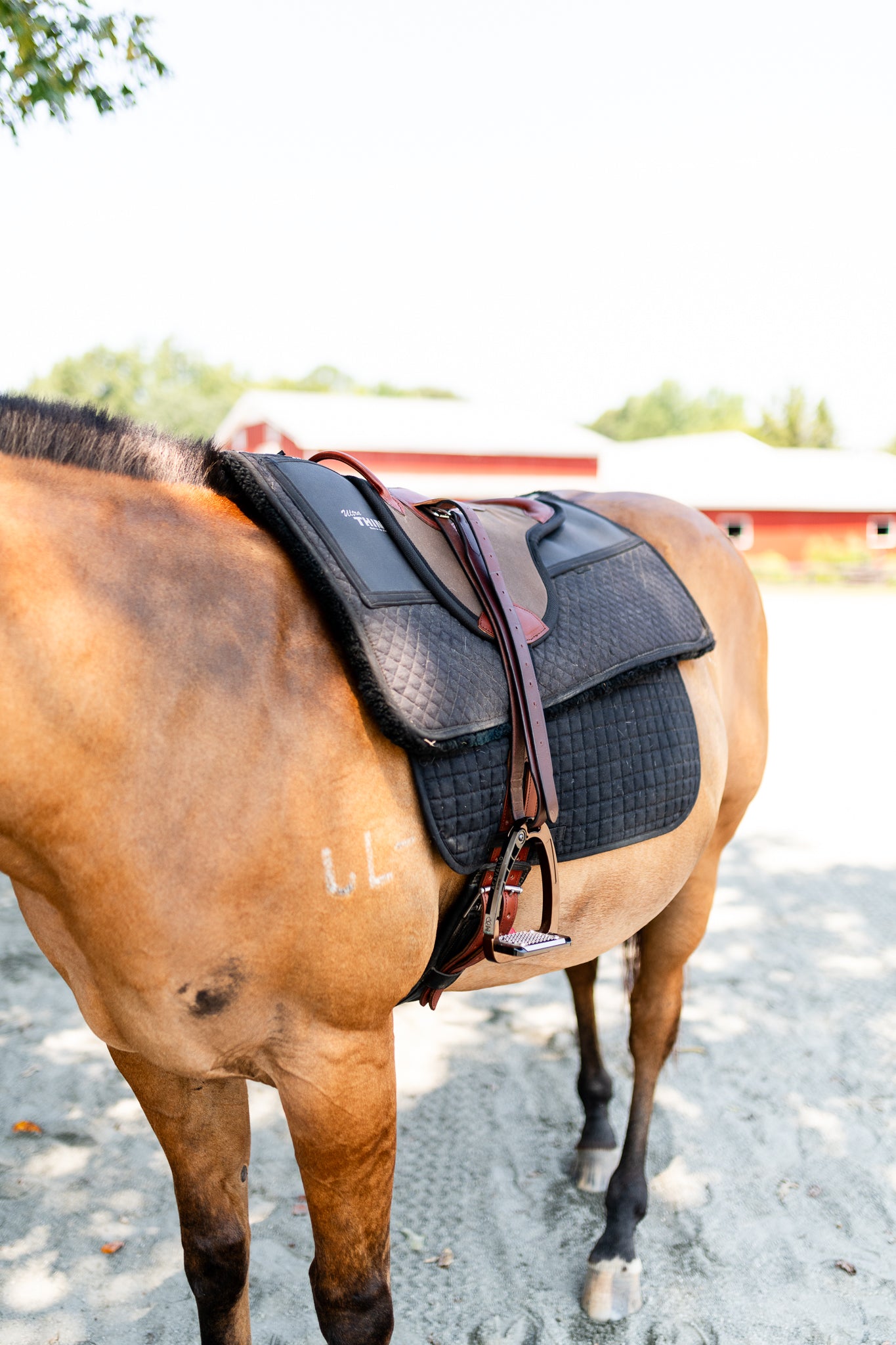 Single Hippotherapy Bareback Saddle - Large