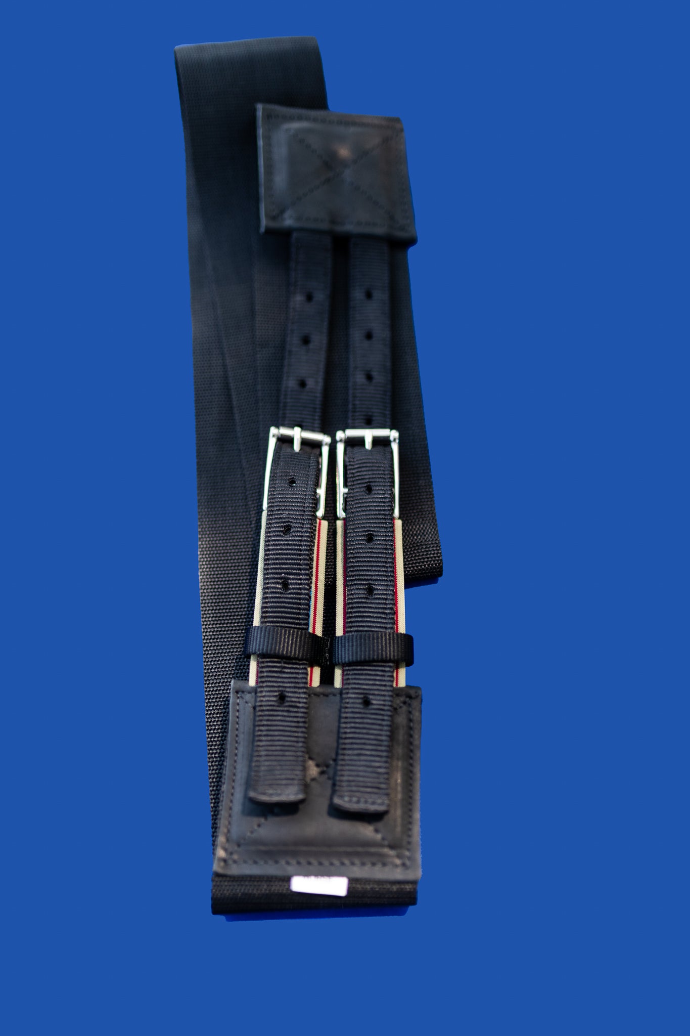 The Surcingle