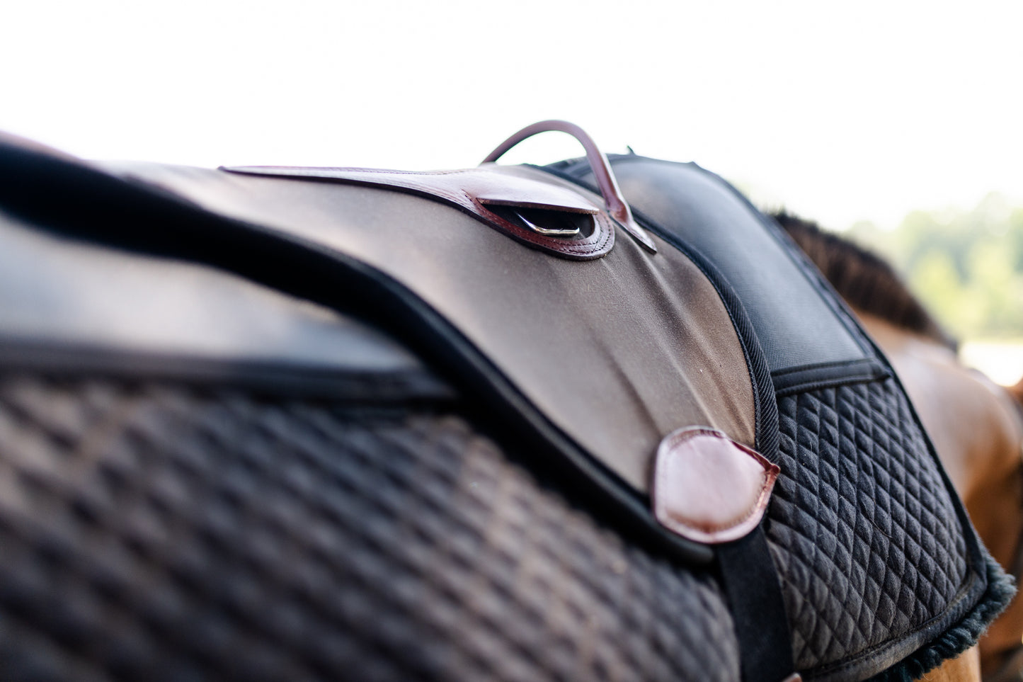 Single Hippotherapy Bareback Saddle - Large