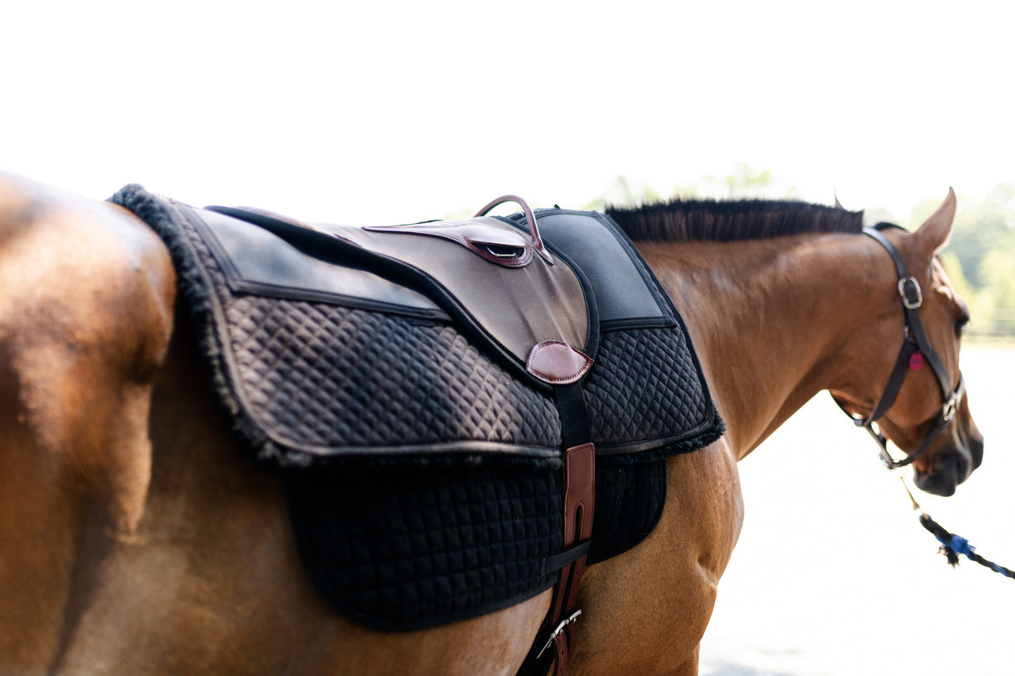 Single Hippotherapy Bareback Saddle - Large