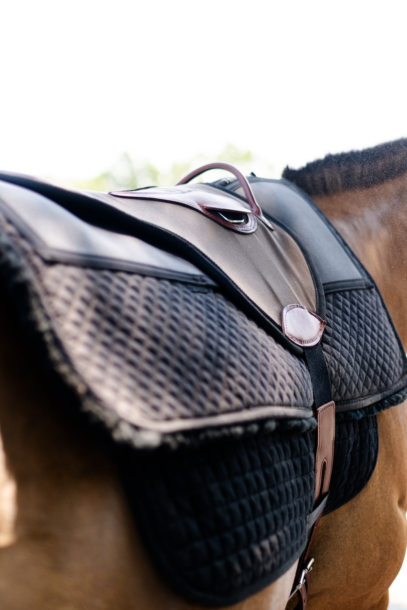 Single Hippotherapy Bareback Saddle - Large