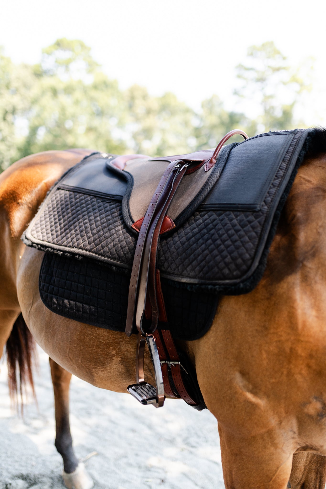 Single Hippotherapy Bareback Saddle - Large